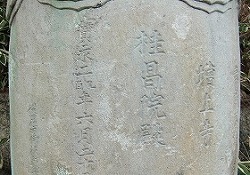石灯籠群(不動寺④ 大奥ゆかりの寺)_c0187004_20481270.jpg