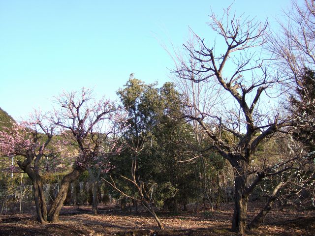 f0108604_82036.jpg