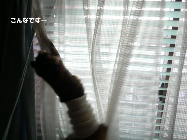 e0094407_12491180.jpg