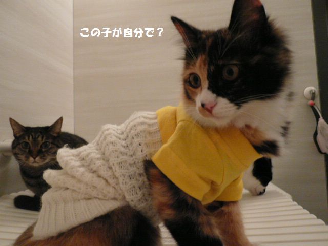 e0094407_13585132.jpg