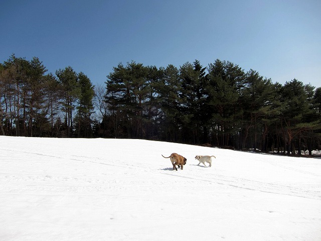 雪山へ日帰り旅行♪_e0192217_12243763.jpg