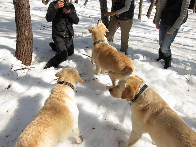 雪山へ日帰り旅行♪_e0192217_12324061.jpg