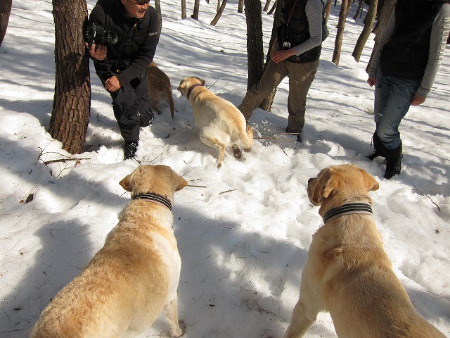 雪山へ日帰り旅行♪_e0192217_12324870.jpg