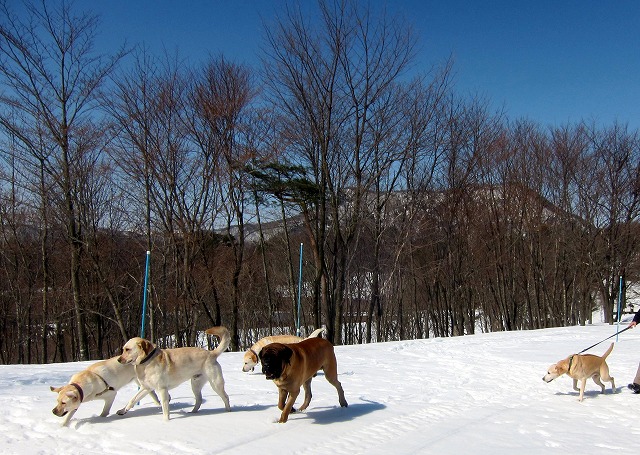 雪山へ日帰り旅行♪_e0192217_1234845.jpg