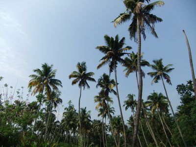 e0224424_2244036.jpg
