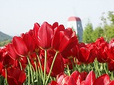 e0197727_23421827.jpg