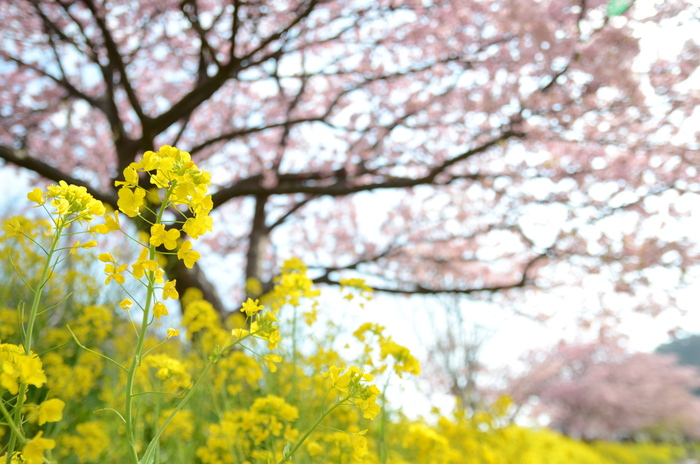 ここでしか撮れない景色、そ・こ・に・は・ある！_e0181828_2352167.jpg