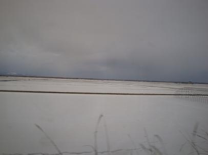 b0199830_21552683.jpg