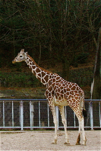 弱いから強い_f0165030_17582669.jpg