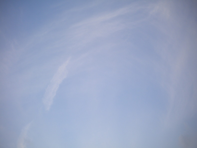 e0129831_2283224.jpg