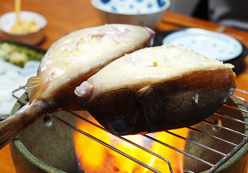 ハコフグの美味しい食べ方 長瀬渉 Nagase Wataru ハコフグの美味しい食べ方 長瀬渉 Nagase Wataru