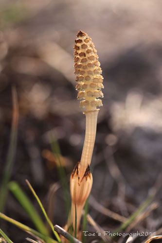 f0005733_14142015.jpg