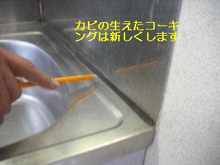 奇しくも・・・・・_f0031037_221374.jpg