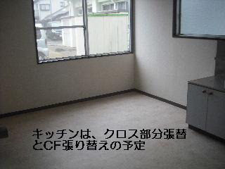 奇しくも・・・・・_f0031037_2214412.jpg