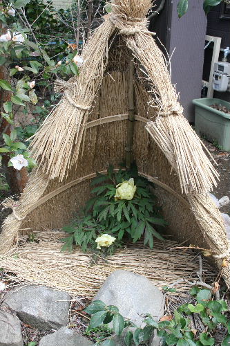 赤木明登展_f0082141_10244971.jpg