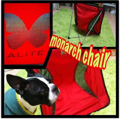 ALITE　monarch chair (エーライト モナークチェア)_e0126046_15972.jpg