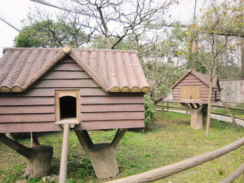 f0205855_1202361.jpg