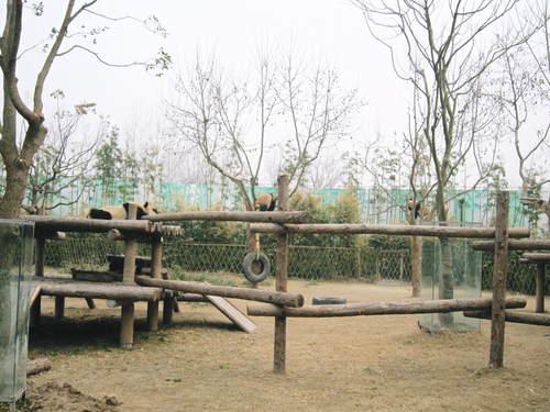 f0205855_1255265.jpg