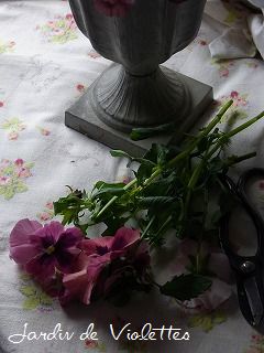 e0118257_1171337.jpg