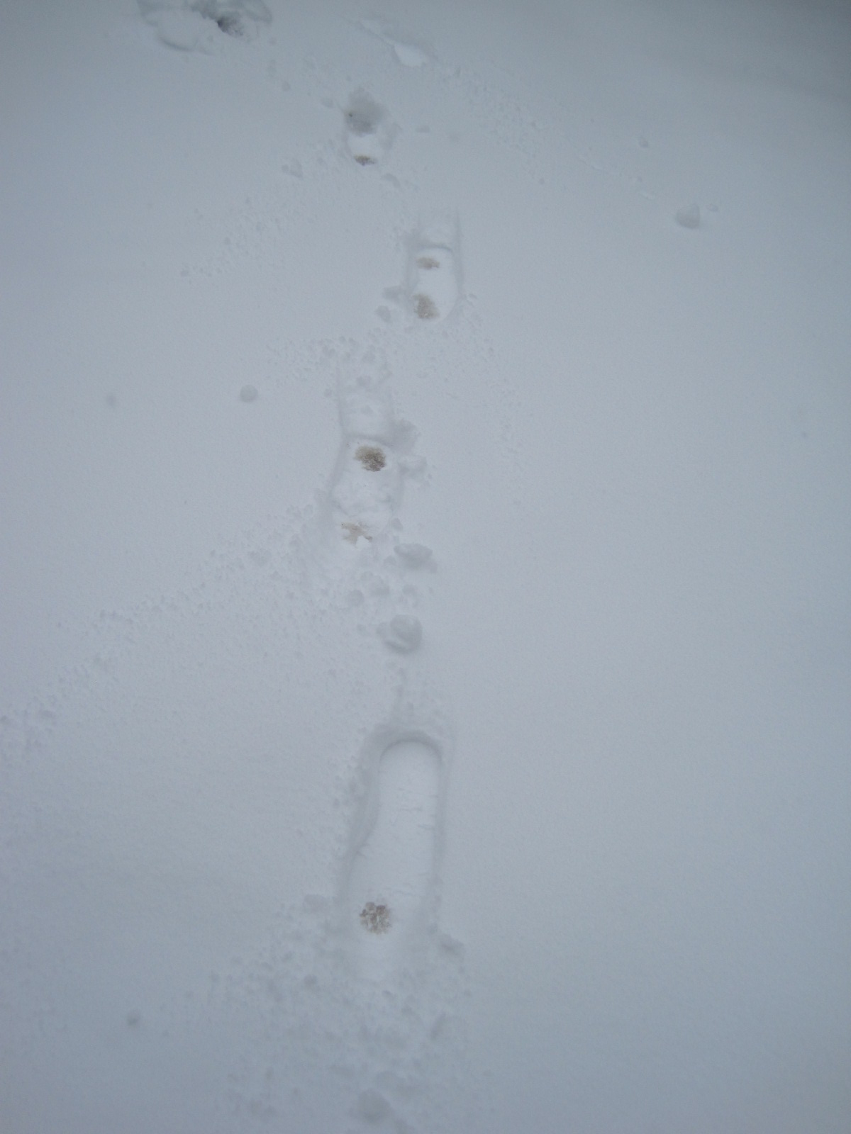 f0236260_16304535.jpg