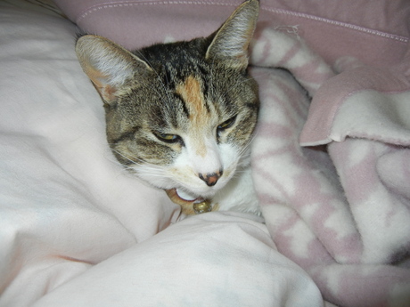 2011年2月28日(月)雨の日には・・・_f0060461_20572947.jpg