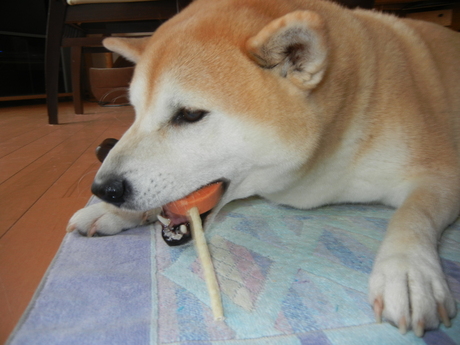 2011年2月28日(月)雨の日には・・・_f0060461_2059479.jpg
