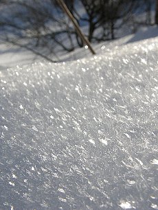 f0035962_850048.jpg