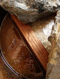 f0035962_8542666.jpg