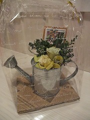 f0201565_16351038.jpg