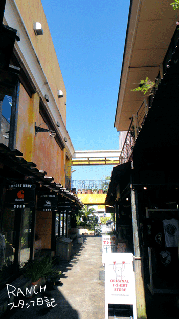 d0181266_12205289.gif