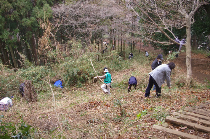 岩瀬中学校３年生１１０人が六国見山森林公園を手入れ_c0014967_11521192.jpg