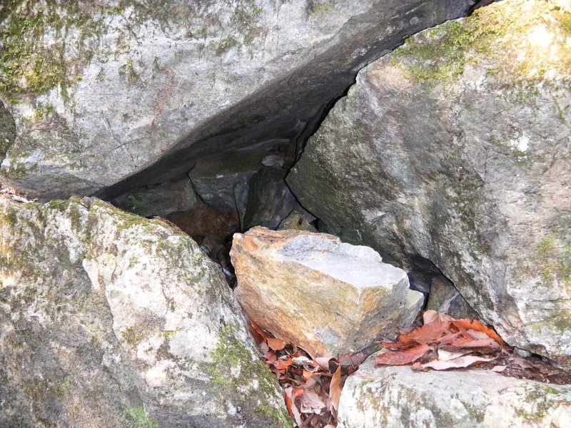 c0193187_22502287.jpg
