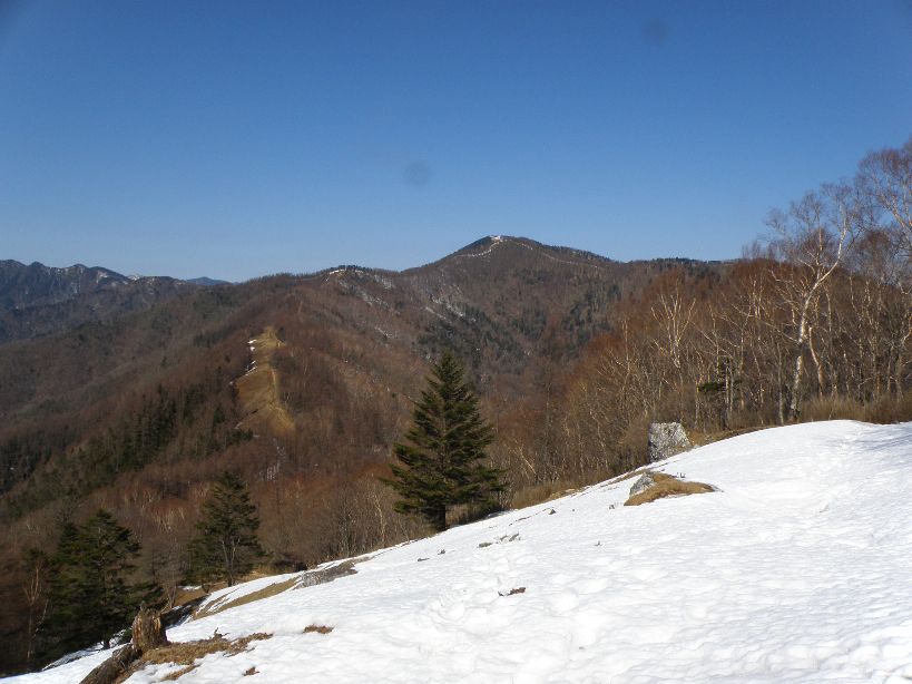 小袖→南ア展望台の七つ石山→雲取山　2011/02/26（土）　快晴　２名_c0134193_22482512.jpg