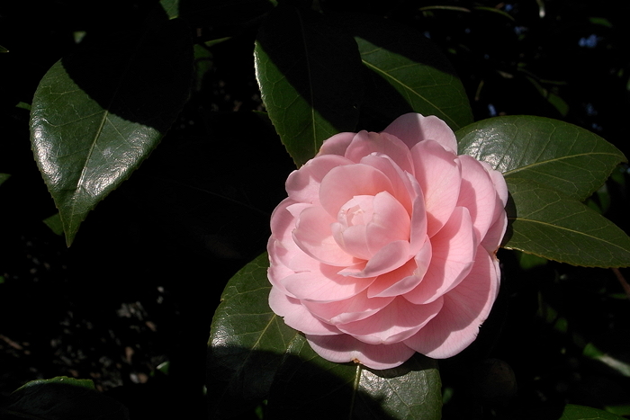 c0214494_2181057.jpg