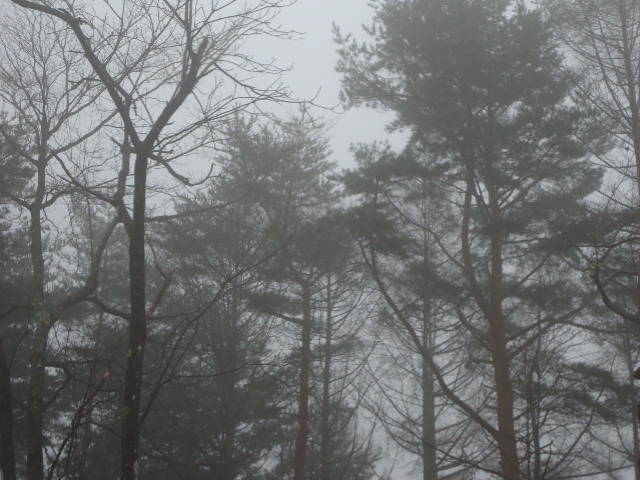 c0099395_8284882.jpg