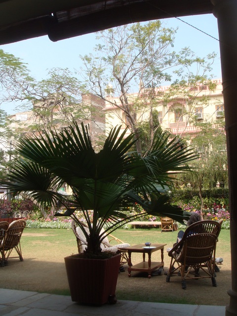 c0222897_316861.jpg