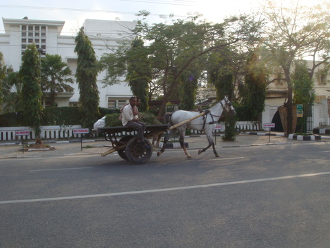 c0222897_363236.jpg