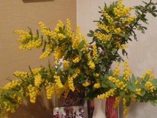 Festa della Donna (国際婦人デー) l\' 8 marzo_e0170101_16511917.jpg