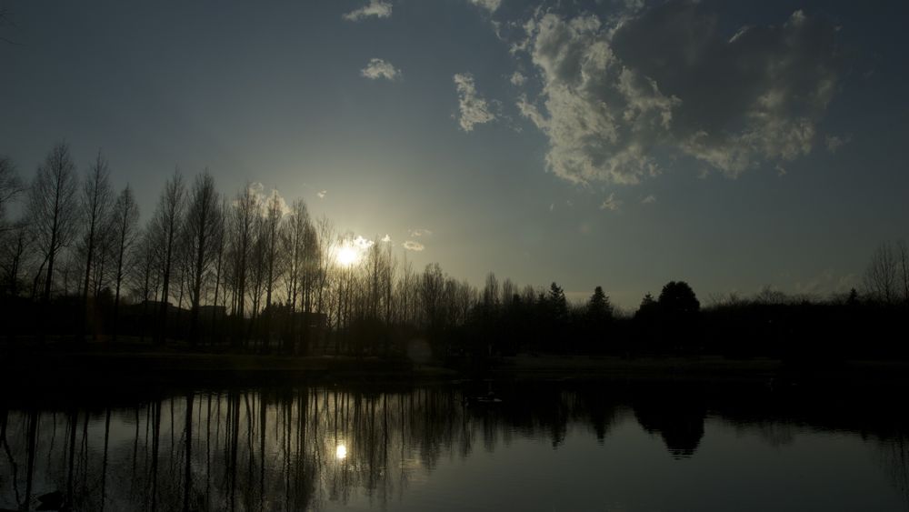 c0127403_1632342.jpg