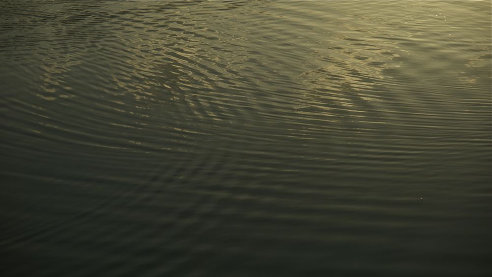 c0127403_1632658.jpg