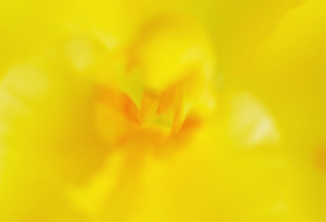 e0039703_21535629.jpg