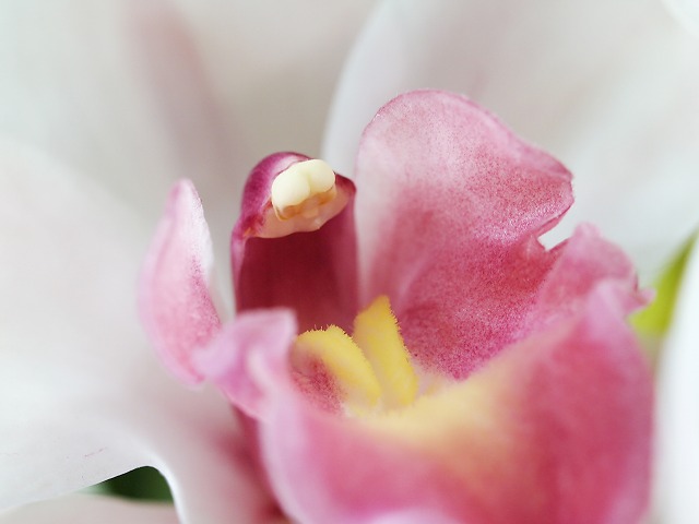 e0039703_21544612.jpg