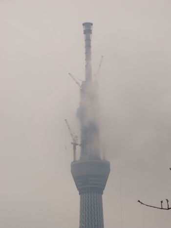 f0185403_13325950.jpg