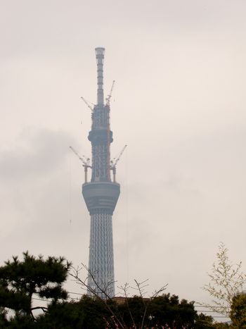 f0185403_13332162.jpg