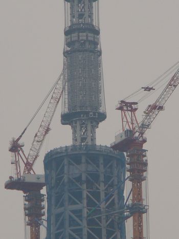 f0185403_1411286.jpg