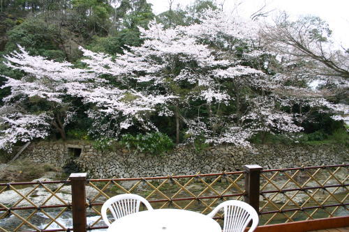 f0164107_11271961.jpg