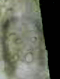 e0103408_15473126.jpg