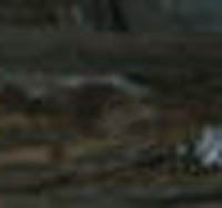 e0103408_1612090.jpg