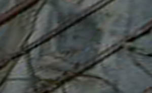 e0103408_1624951.jpg