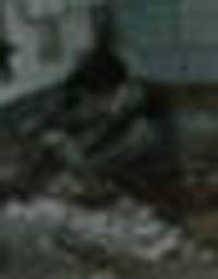 e0103408_16278.jpg